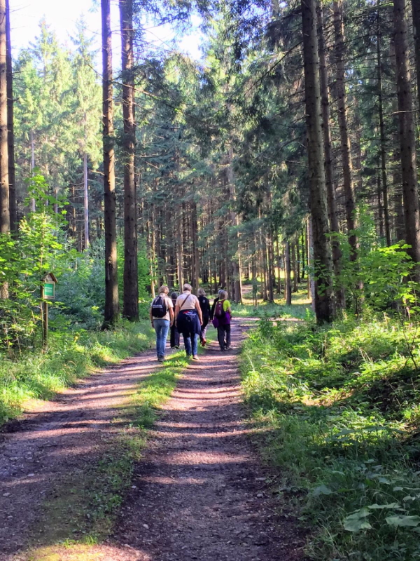 Bad Haller Damen auf dem Weg zum Waldbaden im Hallerwald